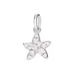 DoDo Estrella