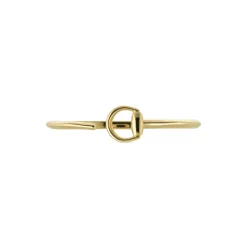Pulsera Gucci Horsebit